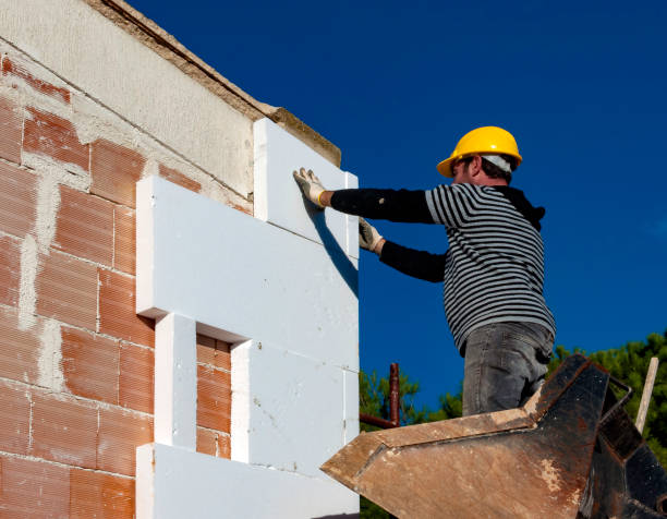 Best Geographic-Specific Insulation Services in St Joseph, MI
