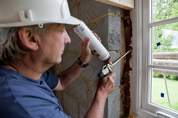 Best Geographic-Specific Insulation Services in St Joseph, MI